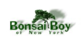 Bonsai Boy of New York